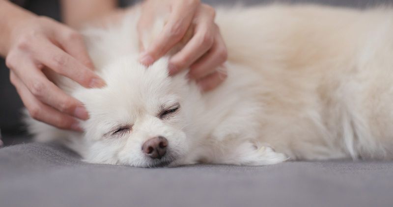 Gentle Massage