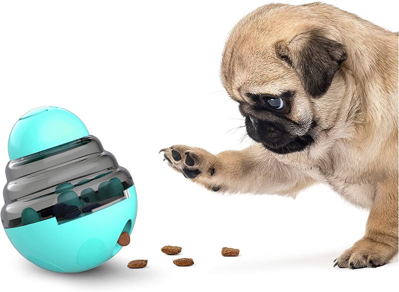 Treat-Dispensing Toy