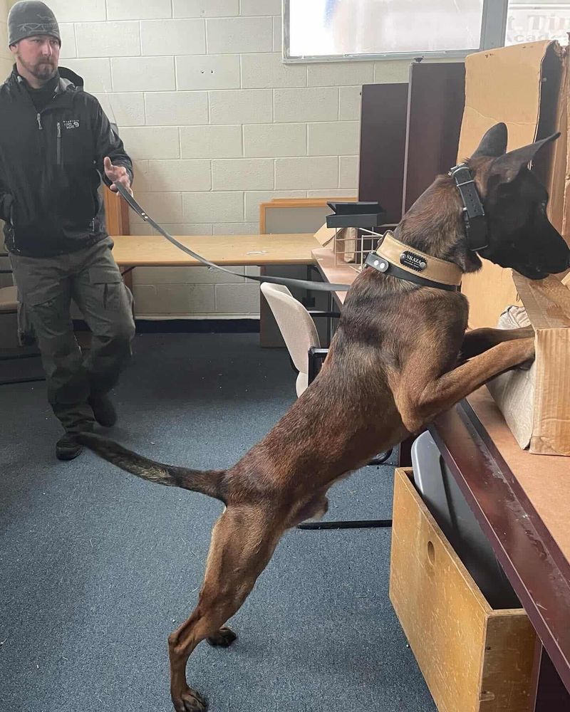 Explosives Detection