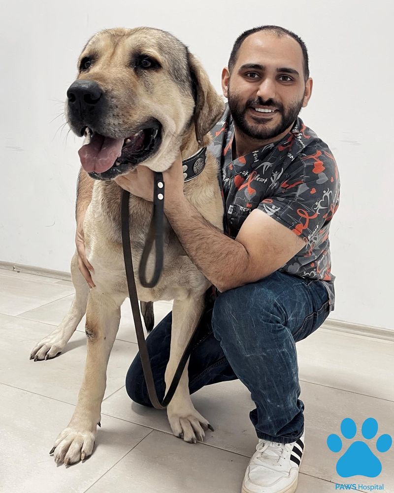 Kangal