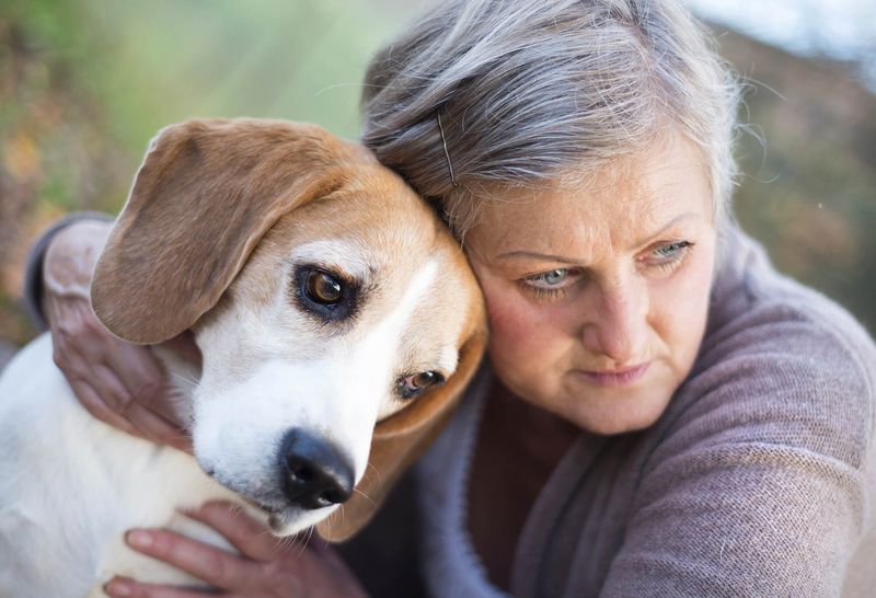 Dogs in Art and Music Therapy