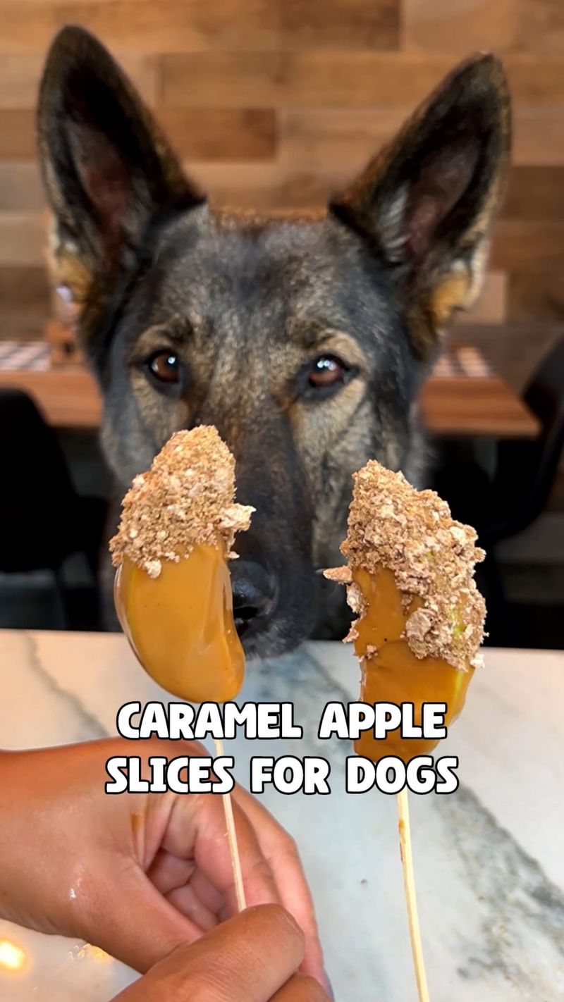 Apple Slices