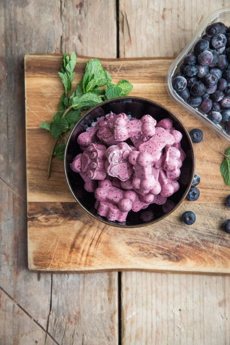 Blueberry Mint Bites