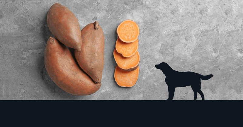 Sweet Potatoes