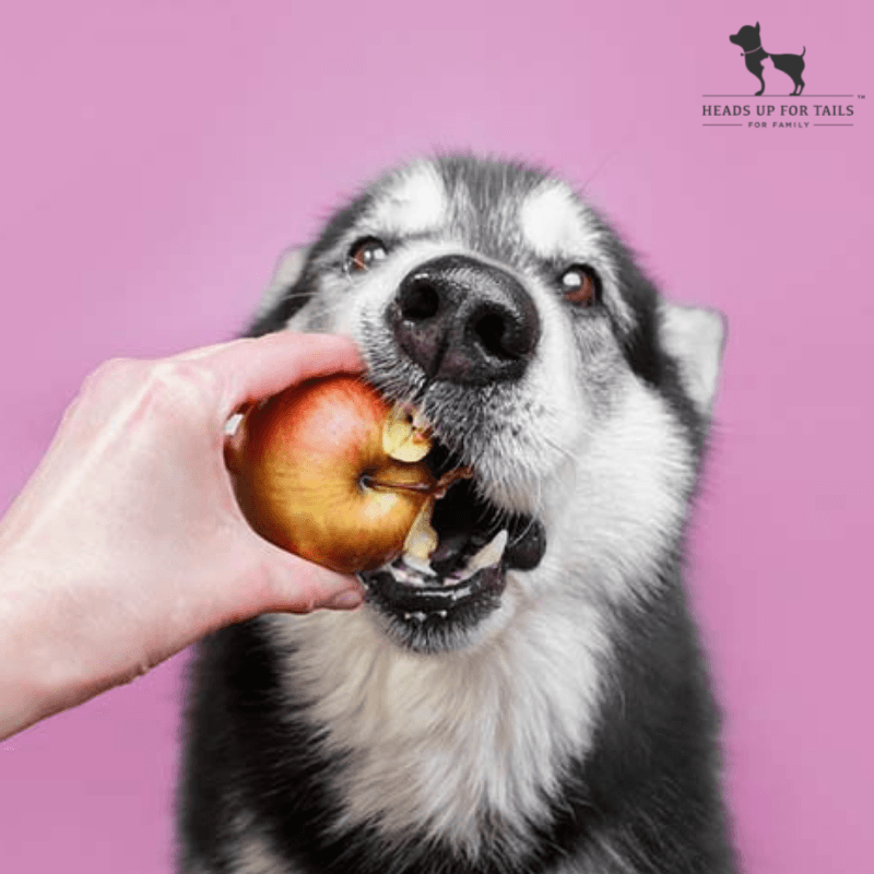 Apples