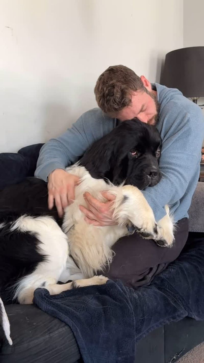 Newfoundland