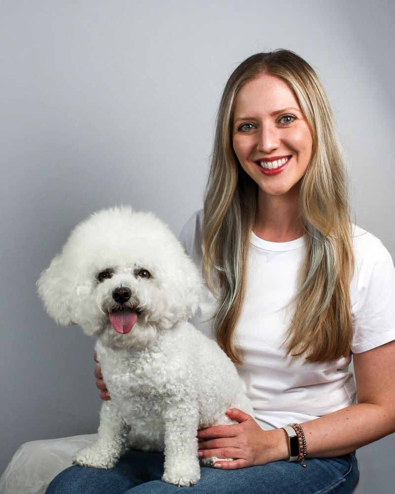 Bichon Frise