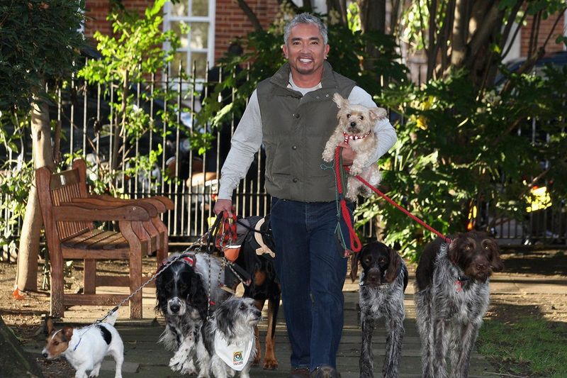 The Foundation of Cesar Millan’s Approach