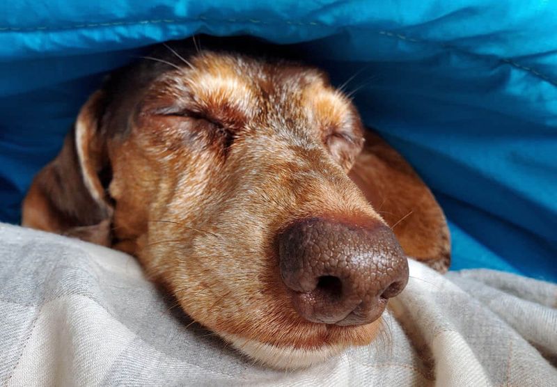 Increased Sleeping