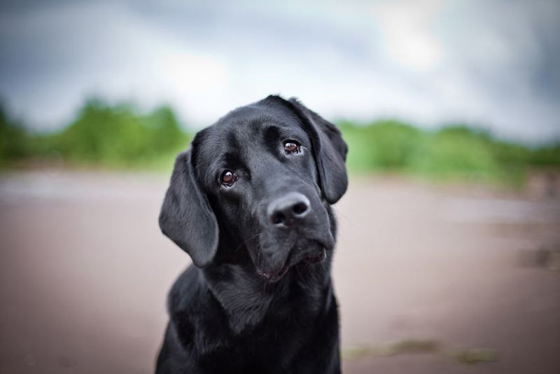 Frequent Head Tilting
