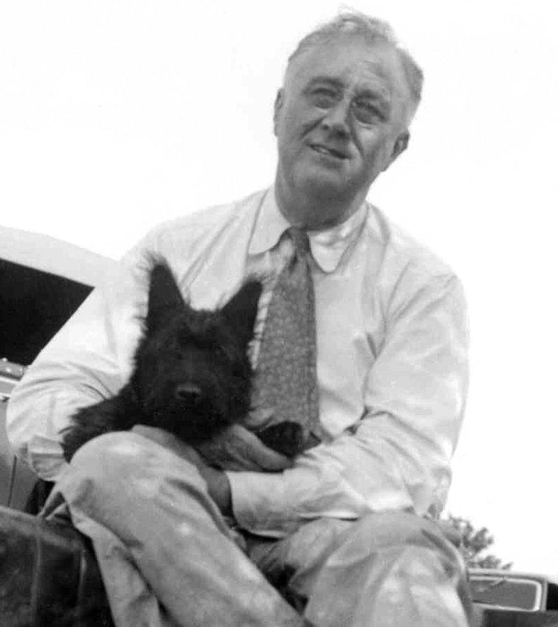 Fala Roosevelt