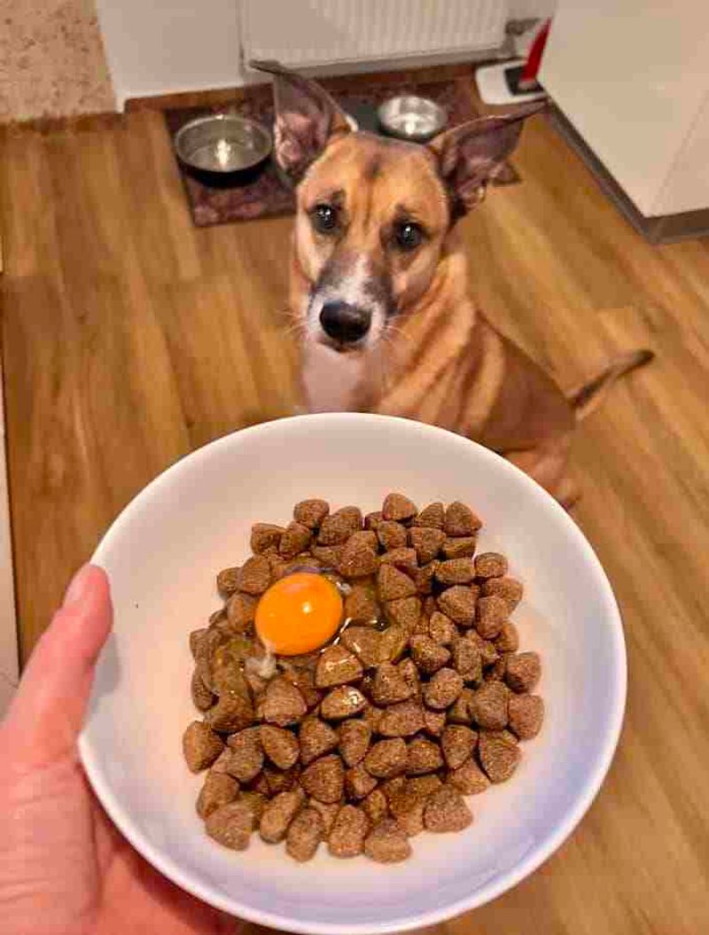 Raw Eggs