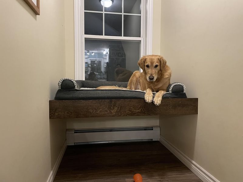 Window Perch