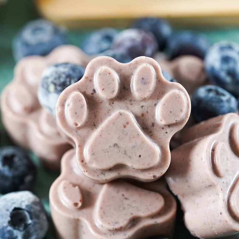 Coconut Blueberry Bites