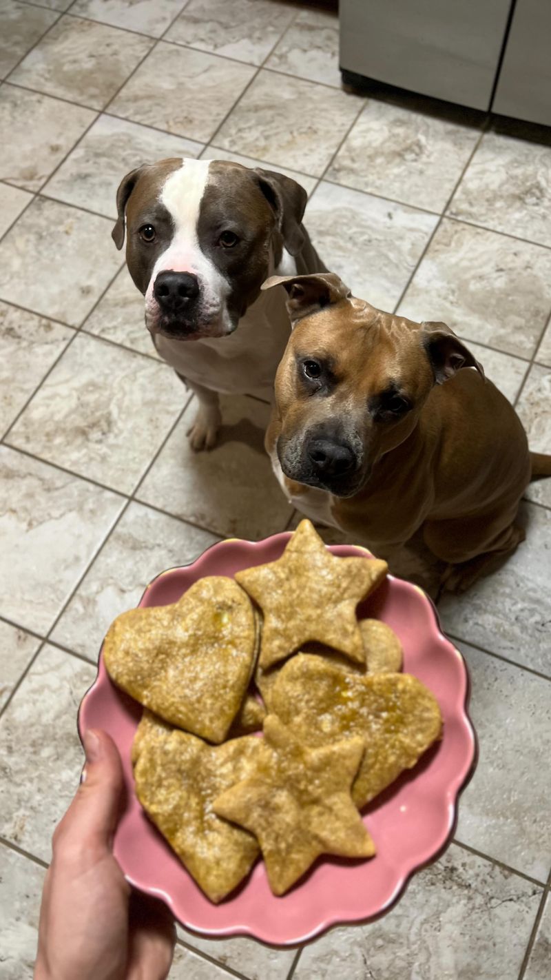 Beefy Bone Bites