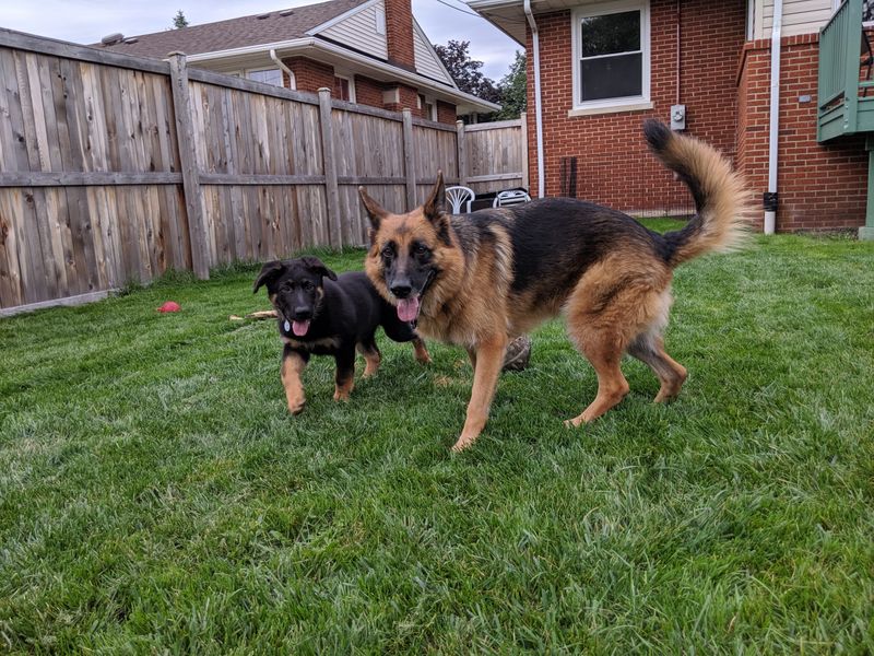 Supervise Playtime