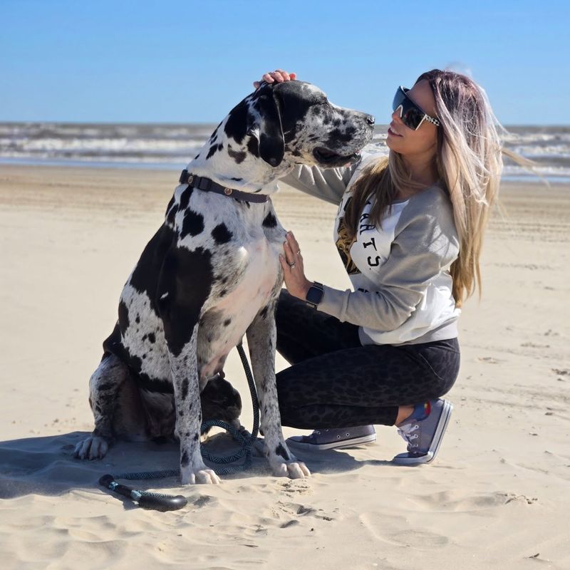 Great Dane