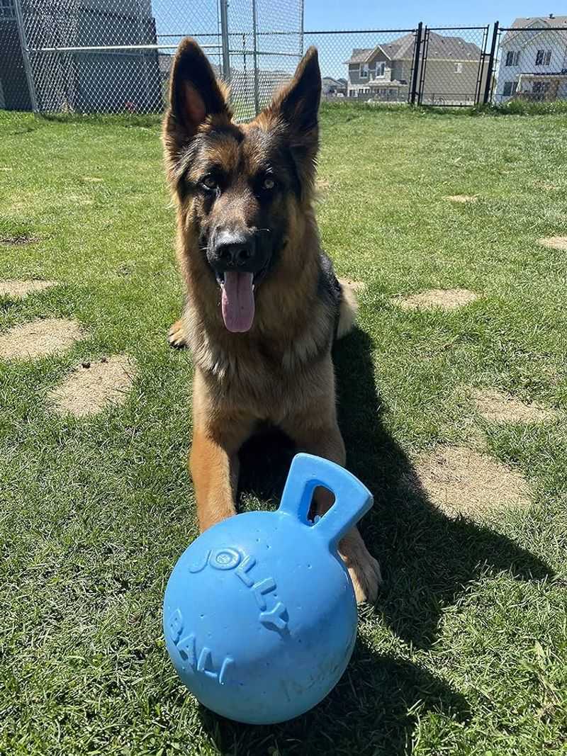 Tug-N-Toss Jolly Ball