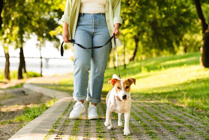 Energetic Walks