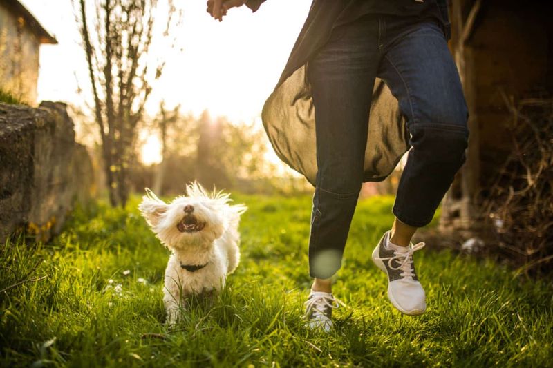 Energetic Walks