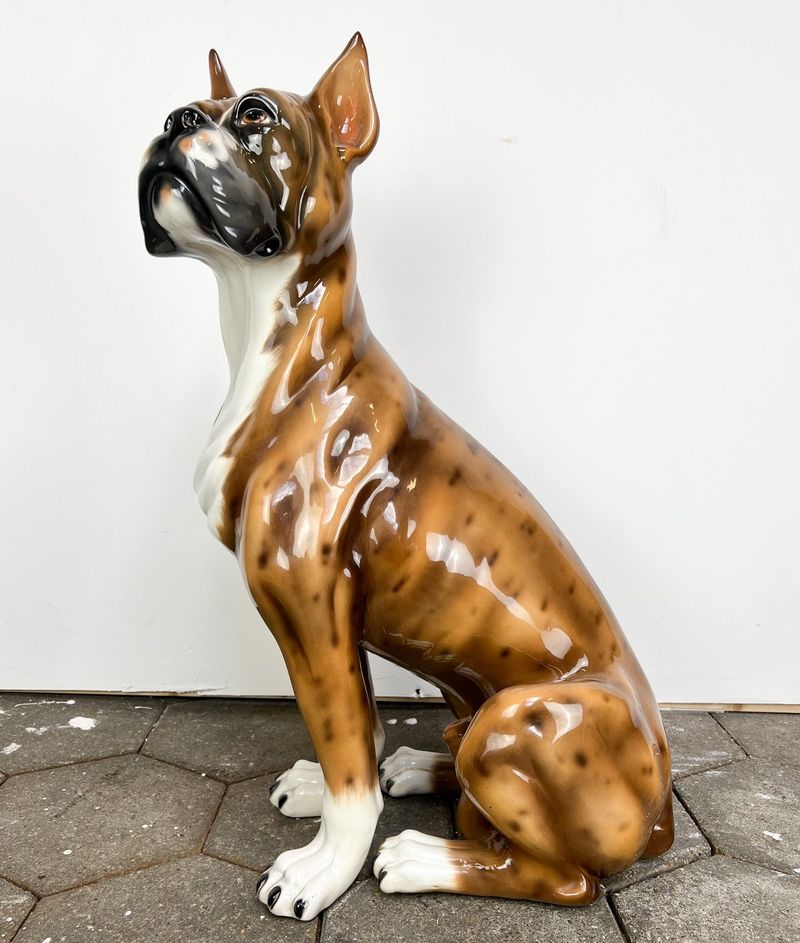 Boxer
