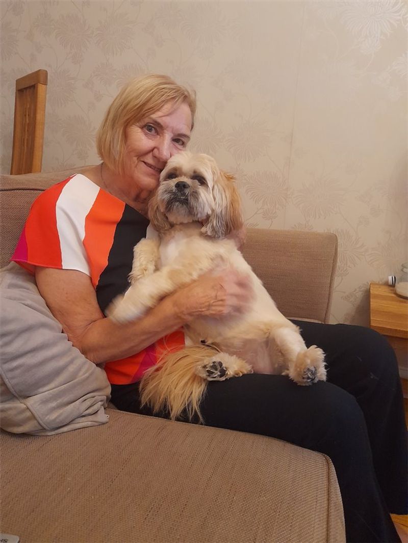 Lhasa Apso