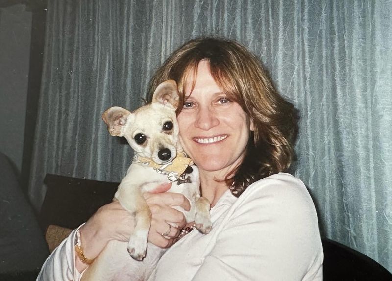 Chihuahua's Feisty Friendship