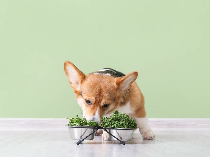 Spinach