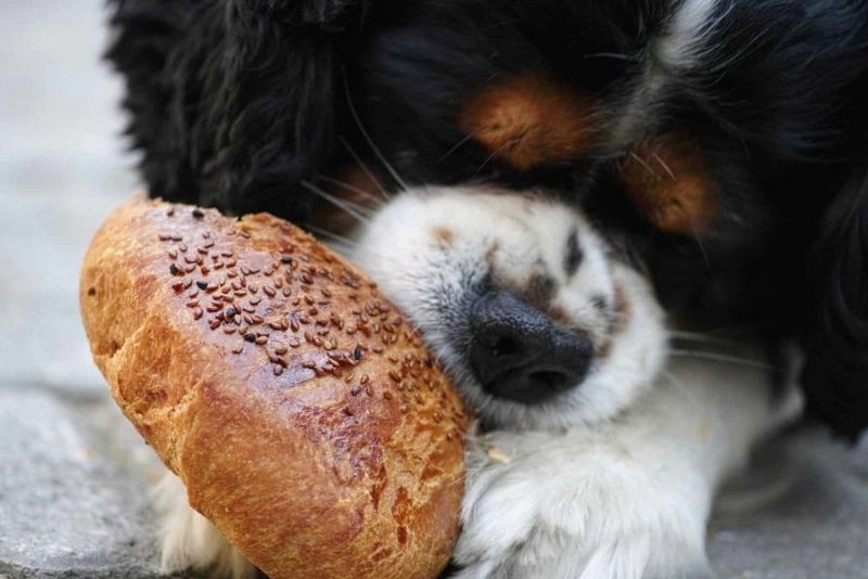 Yeast Dough