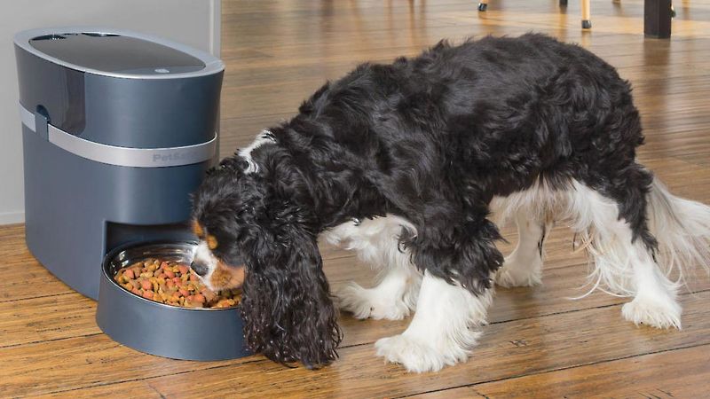 Automatic Food Dispenser