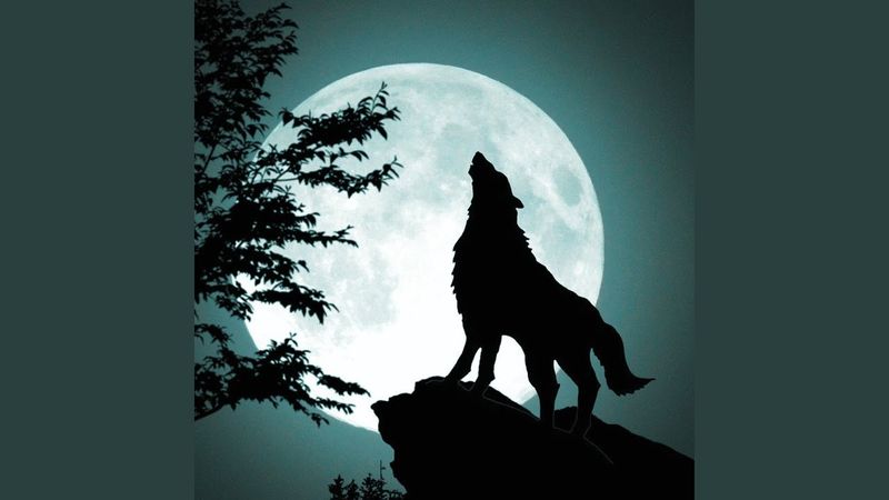 Howling Communication