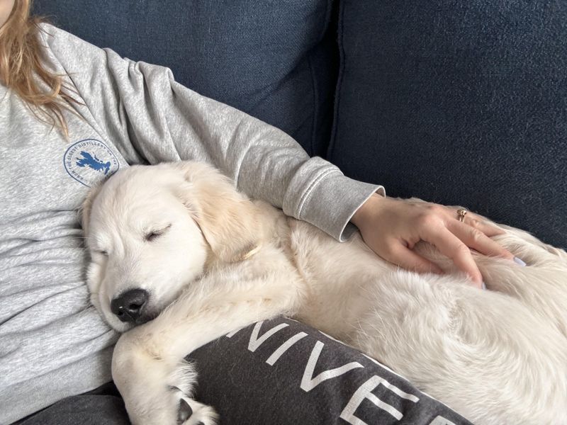 Cuddling Sessions