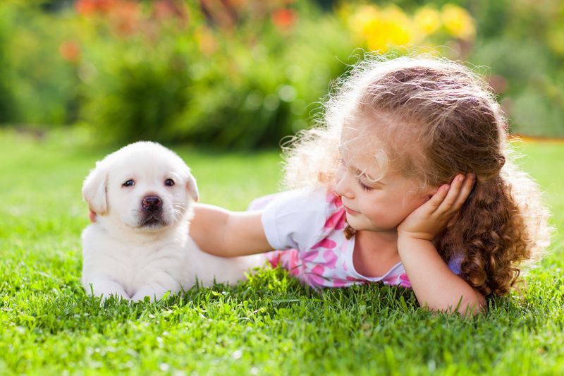 Nurturing Instincts