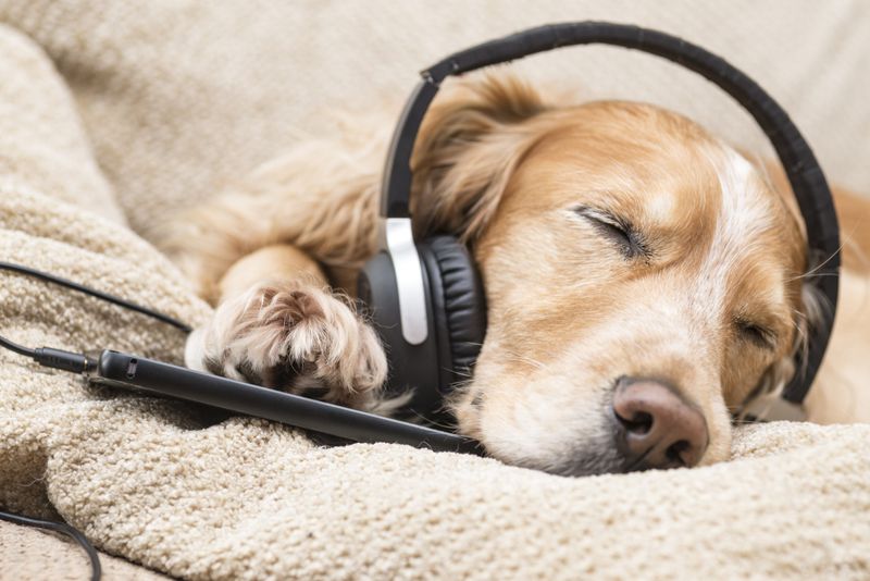 Introduce Soothing Music