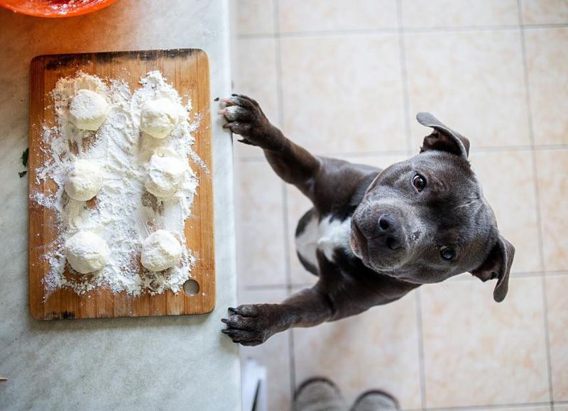 Yeast Dough