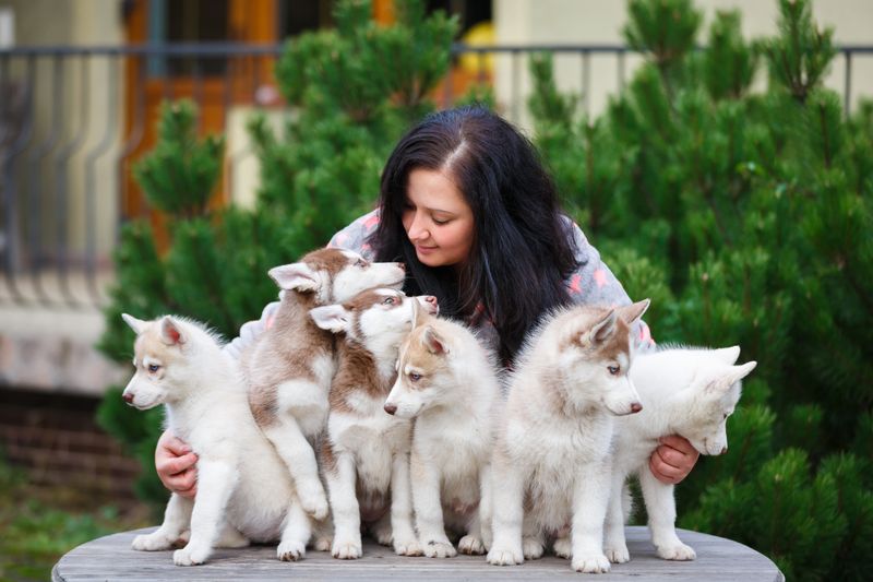 Breeder's Experience