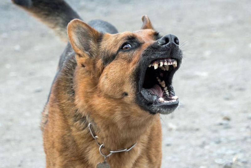 Sudden Aggression