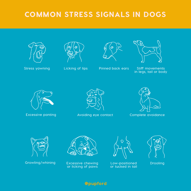 Use Body Language Awareness