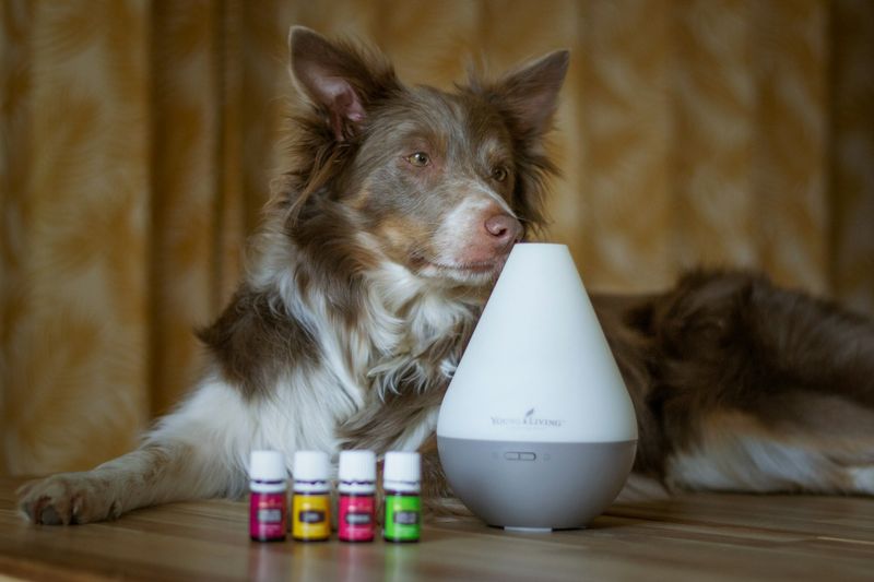 Try Aromatherapy