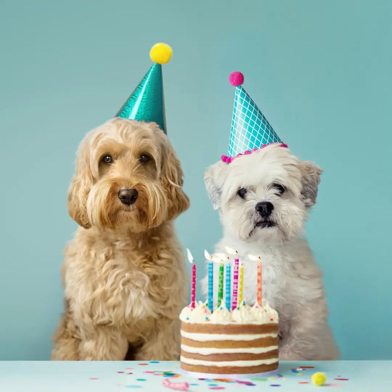 Celebrate Their Birthday
