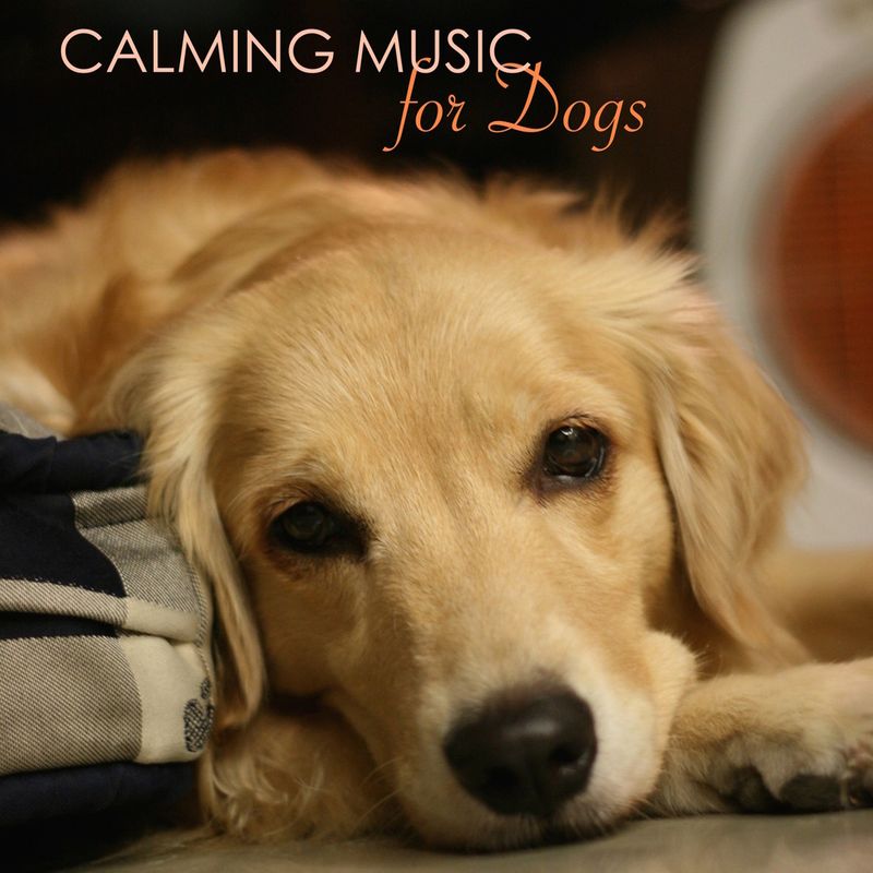Use Calming Music