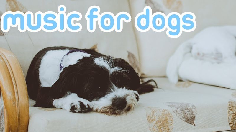 Use Calming Music