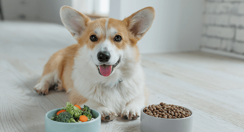 Nutritional Support and Hydration