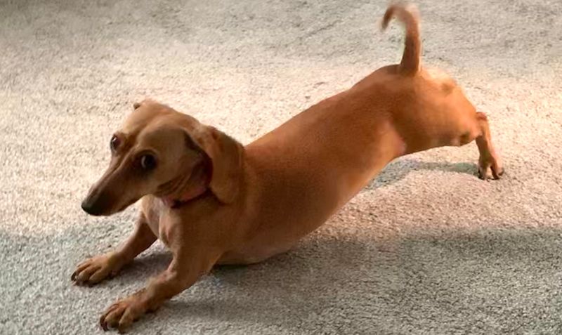 Relaxed Stretching