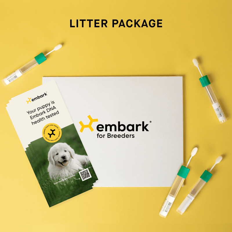 Dog DNA Test Kit