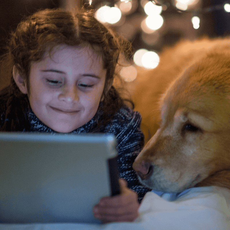 Doggy Movie Night