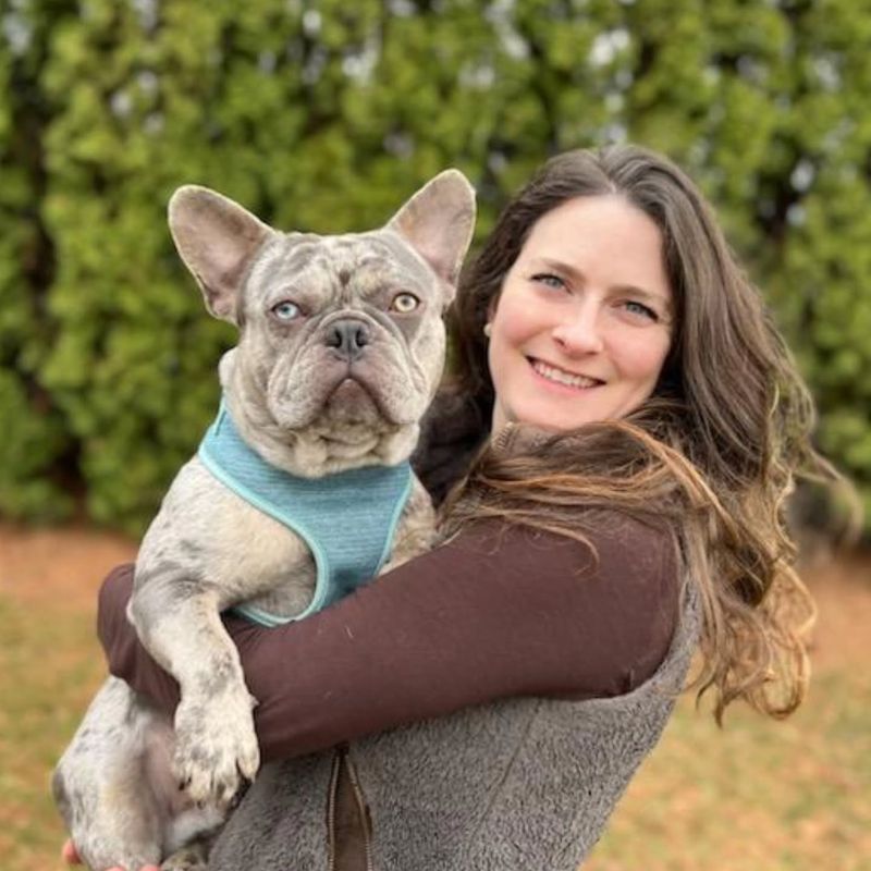 French Bulldog