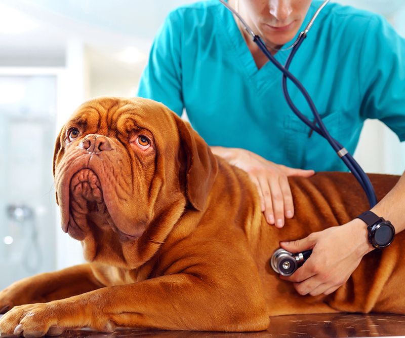 The Importance of Regular Check-Ups