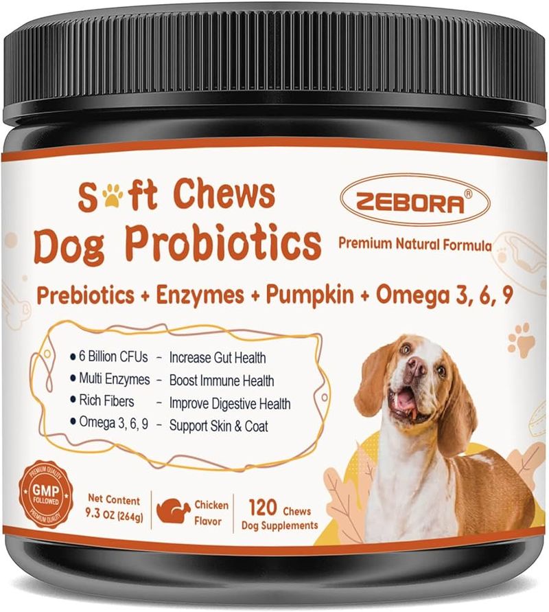 Probiotic Supplements