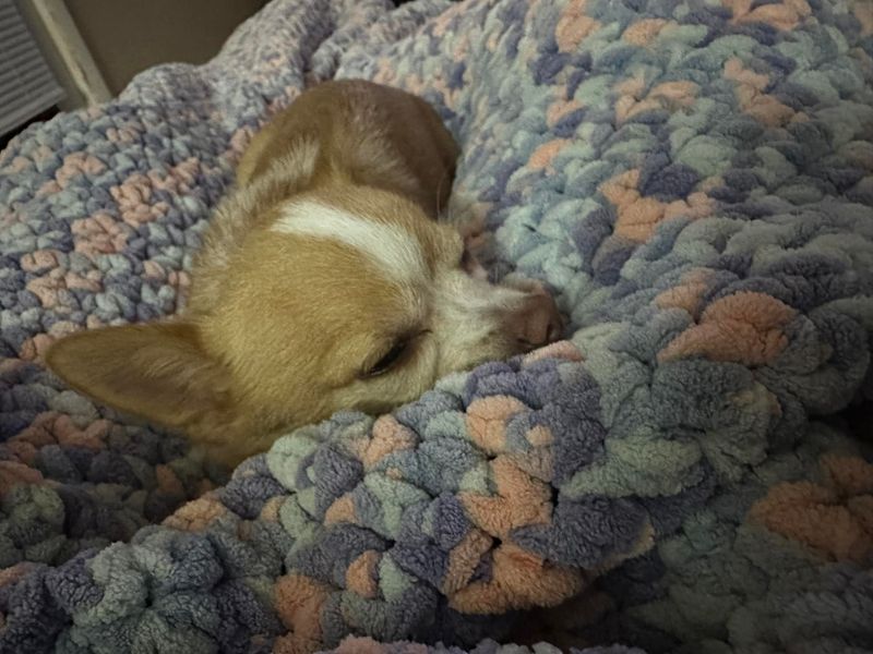 Sleeping More Than Usual